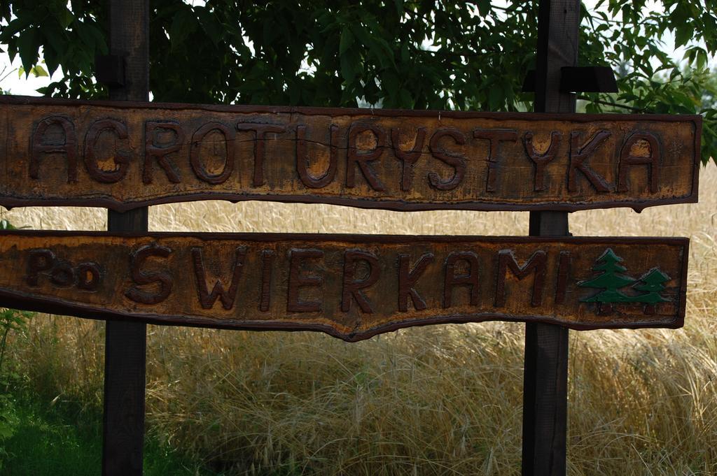 Agroturystyka Pod Swierkami Nadrybie ภายนอก รูปภาพ